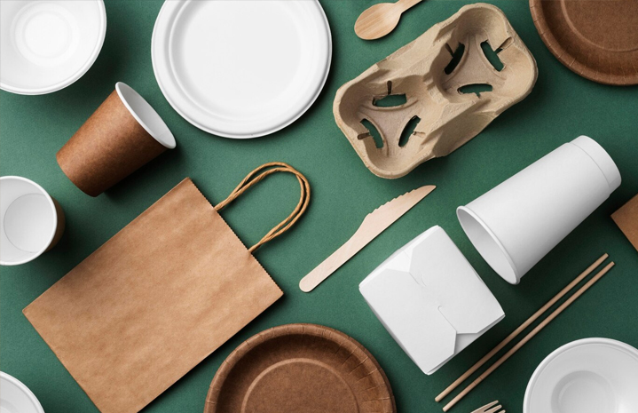 ชามกระดาษสลัด: คำแนะนำเกี่ยวกับประเภท การใช้ และปุ๋ยหมัก